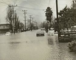 Petaluma flood of 1965, Madison Street, Petaluma, California