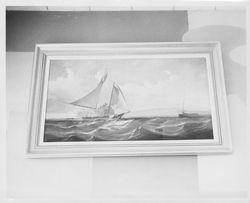 Unidentified scow schooner at sea loaded with hay under full sail, San Francisco Bay, California(?), about 1895