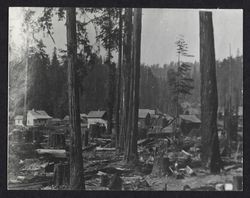 Southwest Guerneville near present Armstrong Woods Road and Third Street, Guerneville, California, 1873