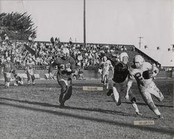 Run play during Petaluma Leghorn game against Lodi