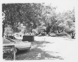Barbecue and picnic at Palomino Lakes, Cloverdale, California, 1963