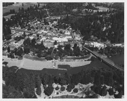 Aerial view of Guerneville, California and the Russian River, looking north, 1955