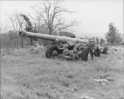 Curly Acorne beside Petaluma, California's cannon in March 1962