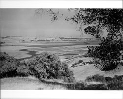 Southern view of Petaluma looking east