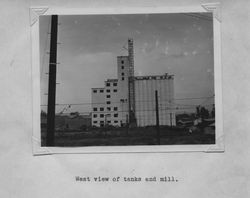 West view of the Poultry Producers of Central California feed mill under construction, Petaluma, California, about 1938