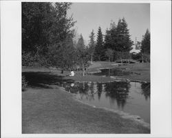 Juilliard Park, Santa Rosa, California, 1959