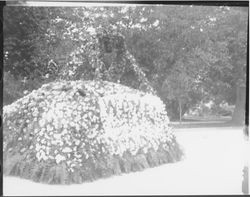 Rose Parade Floats