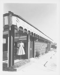 Exterior view of Ceci's Montgomery Village store, Santa Rosa, California, 1960