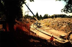 North bank of Santa Rosa Creek looking northwest toward Marriott Hotel from Olive Park