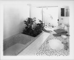 Bathroom of an oriental style home, Sonoma County, California, 1960