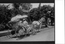 Horse and buggy decorated for the Rose Parade