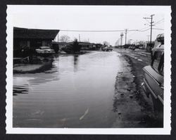 Facing west on Mayette Avenue at intersection with Yulupa Avenue