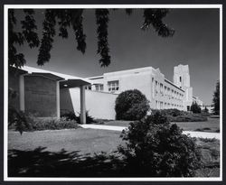 Memorial Hospital and Paul Kelly Institute