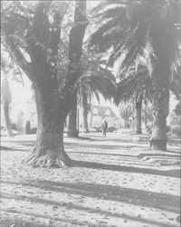 Walking in Hill Plaza Park, Petaluma, California, 1958