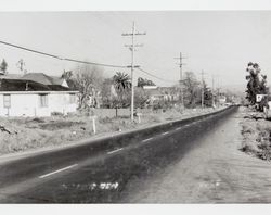 View down Bodega Avenue, Petaluma, California, about 1954