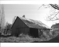 Dairy barn on Andresen Ranch, Penngrove, California, 1992