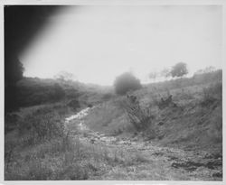 View of the Sun-O-ma Club in Sonoma, California