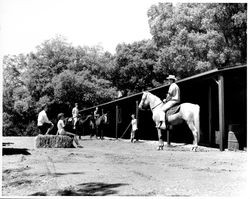 Horseback riding at the Vineyard Club