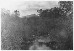 Sonoma Creek near Glen Ellen