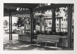 Bandstand at Courthouse Square, Santa Rosa , California, 1968