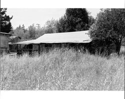 Remains of outbuildings located at 1480 Los Olivos Road, Santa Rosa, California, 1987
