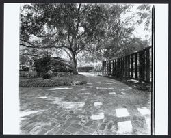 View of Burbank Gardens, Santa Rosa, California, 1970