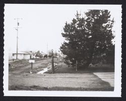 Blue Bell Drive, north side looking west from Kramer residence at 1941 Blue Bell