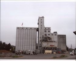 Dairyman's Feed located at 323 East Washington Street, Petaluma, California, Sept. 6, 2006