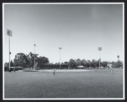 People playing baseball at Healdsburg parks