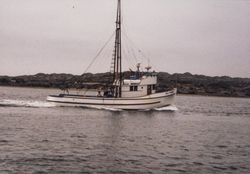 Sea Farmer headed out the channel at Doran Park, Bodega Bay, California, December 1981