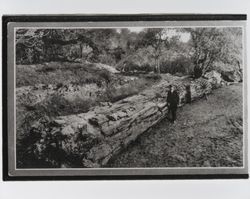 Various scenes at the Petrified Forest