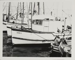 Fishing boats docked at Bodega Bay