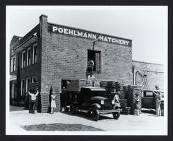 Poehlmann Hatchery