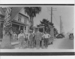 Removing palm trees to widen Main Street, Petaluma, California, 1926