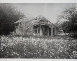 Farmhouse on the George W. Call Ranch at Fort Ross, California, about 1900