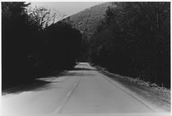 River Road near Jenner, California, about 1961