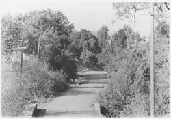 Arnold Drive north of Sobre Vista Road, Sonoma, California, 1910