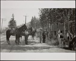 Redwood Rangers on the trail to Nin Guidotti's camp, Cazadero, California, May 1947