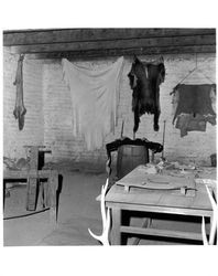 Hides at the Petaluma Adobe, Petaluma, California, about 1969