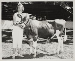 Barbara Brodersen and her champion Guernsey bull at the Sonoma County Fair, Santa Rosa, California, 1958