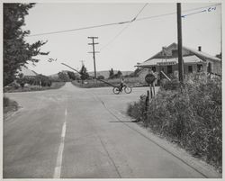 Intersection of Pepper Road and Hammel Lane, Petaluma, California, April 18, 1953