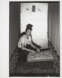 Lloyd Brundige with tray of chickens, Petaluma, California, 1937