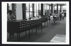 Patrons using the card catalog in the library, Santa Rosa