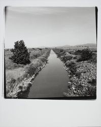Santa Rosa Creek from Fulton Road, Santa Rosa, California, 1975