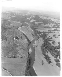 Aerial view of the Russian River above Healdsburg, California, 1958