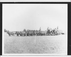 Team of horses pulling hay baling equipment, Petaluma, California, about 1913