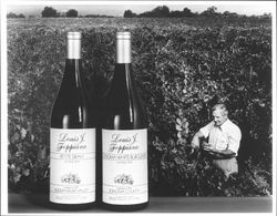 Two bottles of Louis J. Foppiano wine, Healdsburg, California, 1994