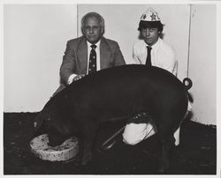 Leo Steindorf and his pig at the Sonoma County Fair, Santa Rosa, California, about 1980