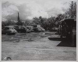 Santa Rosa Steam Laundry and Dry Cleaners, Santa Rosa, California, April 1956