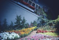 Golden Gate Gardens show at the Hall of Flowers at the Sonoma County Fair, Santa Rosa, California, July 1986